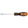 Csavarhúzó torx t15x100mm